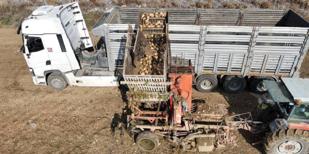 Gün doğmadan tarlaya giriyor, son ürünleri topluyorlar! Ankara’da hasat sürüyor: Alım ve fiyat garantisi umut oluyor 1